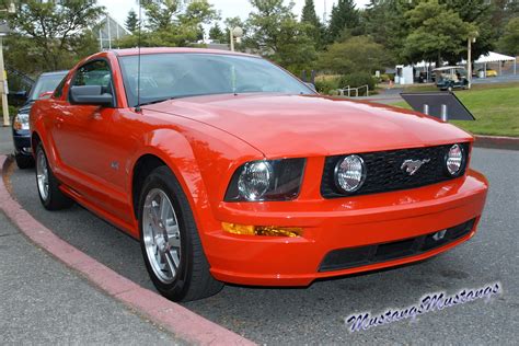 The Ford Mustang Mustangsmustangs