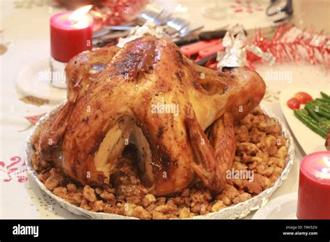 Traditional Christmas Turkey Stock Photo Alamy