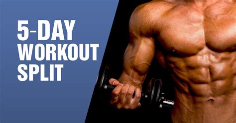 The Best 5 Day Workout Split Routine ~