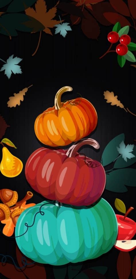 Different Colored Pumpkins Thanksgiving Wallpaper Fall