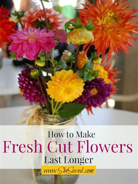 7 Ways To Make Cut Flowers Last Longer Shesaved