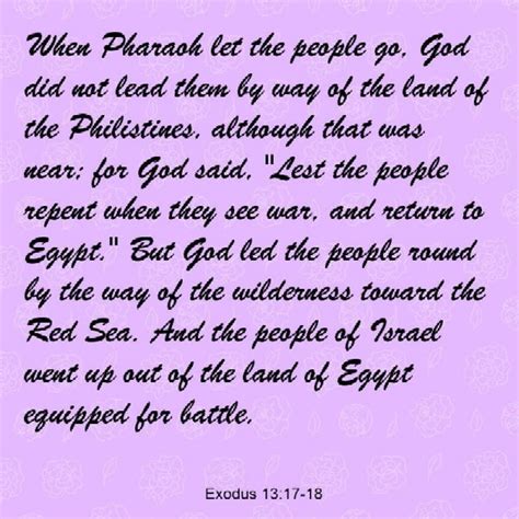 Bible Study Daily Explanation And Encouragement Exodus