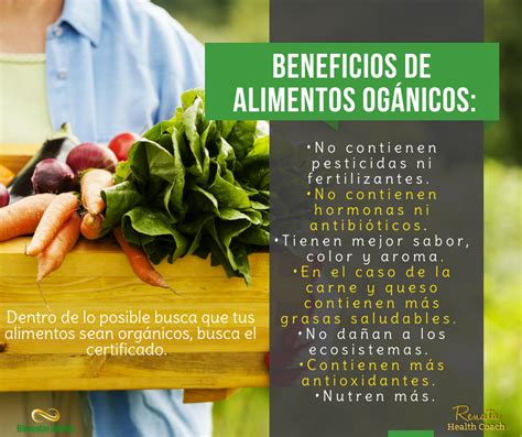 Beneficios De Los Alimentos Orgánicos Alimentos Organicos Beneficios