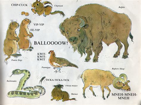 Names Of Extinct Animals Extinct Animals With Names And Pictures Names