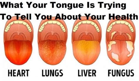 16 Signs Theres A Toxic Congested Lymph In The Body And How To Help