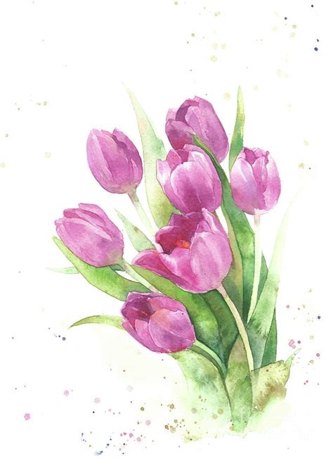 Tulips Pink Watercolor Flowers Hand Draw Painting By Mary Pashkova