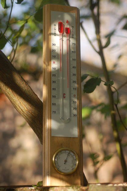 Maximum Minimum Greenhouse Thermometer From Le Petit Jardin