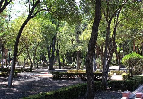 Bosques Urbanos De México Comisión Nacional Forestal Gobierno Gobmx