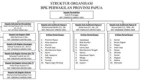 Struktur Organisasi Bpk Perwakilan Provinsi Papua