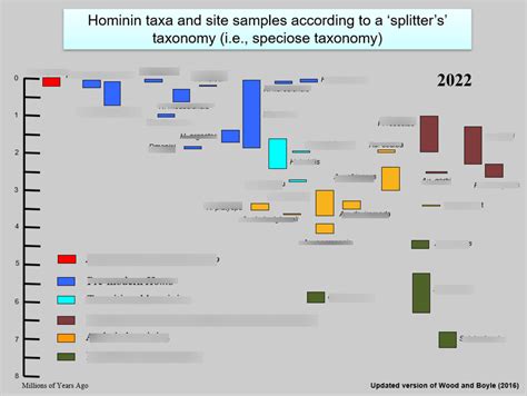Hominin Taxa Diagram Quizlet