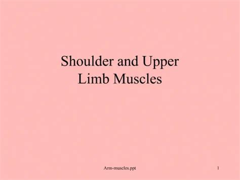 Ppt Shoulder Girdle And Upper Limb Muscles Powerpoint Presentation
