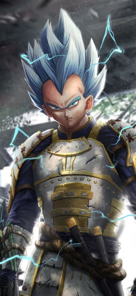 Characters, voice actors, producers and directors from the anime dragon ball on myanimelist, the internet's largest anime database. Vegeta, Dragon Ball, samurai, art wallpaper, hd image, picture, 83de57ae | Dragon ball super ...