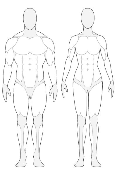 Characteristic of the vertebrate form, the human body has an internal skeleton with a backbone, and, as with the mammalian form, it has hair and mammary glands. Human Outline - Cliparts.co