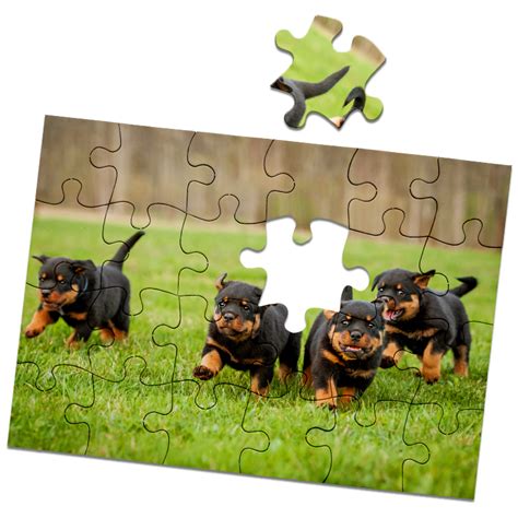 How To Turn Your Photos Into Puzzles