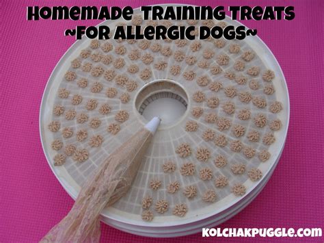 Have a pudgy dog you still want to give a treat to once in a while? Dehydrator Dog Treat Recipes - Kol's Notes