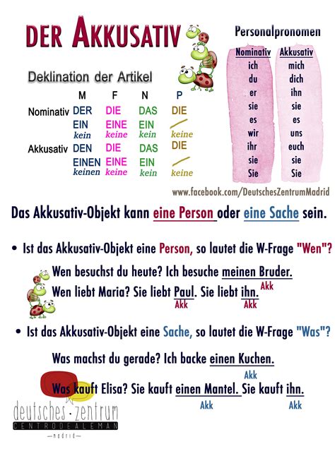 Der Akkusativ Deutsch Wortschatz Grammatik German Daf Alemán