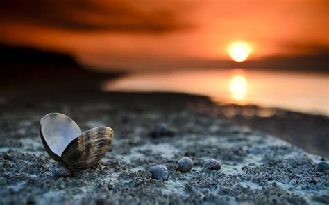 34 Mooie Zon Zee En Strand Achtergronden