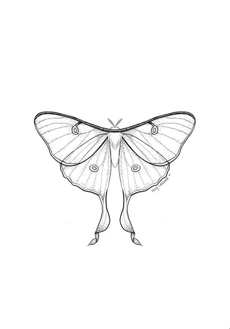 Luna Moth Tattoo Design By Naylassala Moth Tattoo Moth Tattoo
