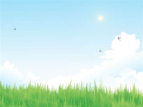 Spring Vector Meadow Vector Art And Graphics