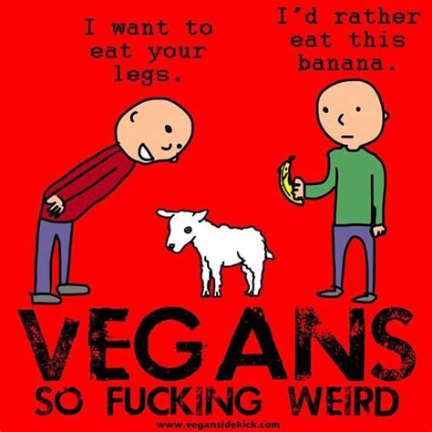 Why I Went Vegan