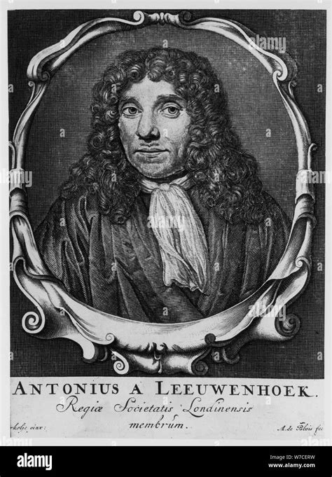 Science Leeuwenhoek Hi Res Stock Photography And Images Alamy