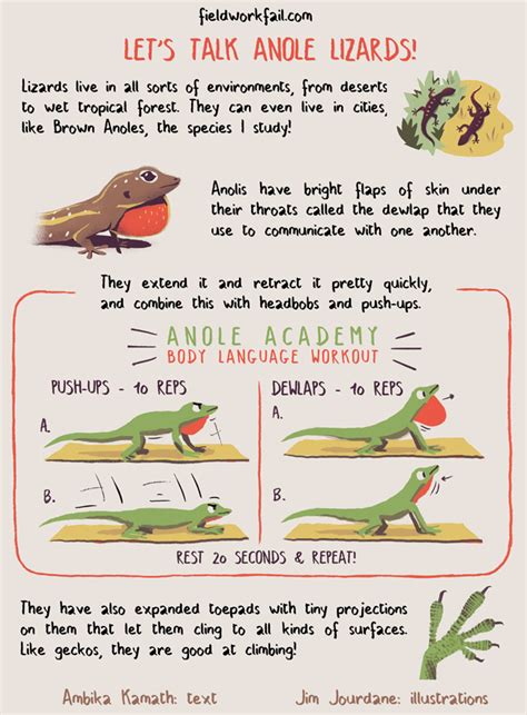 Lets Talk Lizards Fieldworkfail