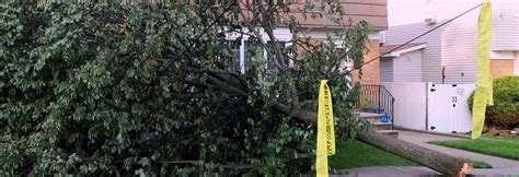 Tropical Storm Isaias Downs Trees Causes Damage On Staten Island