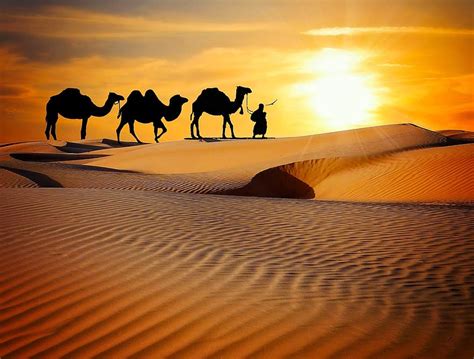 Desert Safari In Jaisalmer Rajasthan Explore The Incredible Sand Dunes