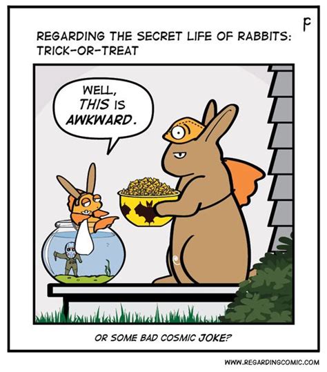 regarding the secret life of rabbits secret life of rabbits secret life rabbit