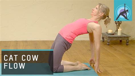 We're going to take you through how to in cat she's allowing her shoulder blades to separate off the back and breathing into the lower back to let it stretch. Cat Cow Flow, Yoga with Esther Ekhart - YouTube