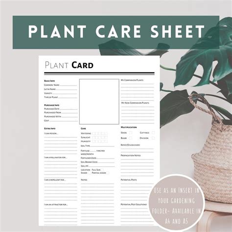 Plant Care Guide Printable Plant Care Sheet Plant Care Printable