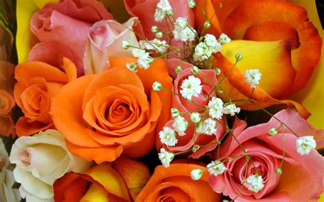 Colorful Rose Bouquet Hd Desktop Wallpapers 4k Hd
