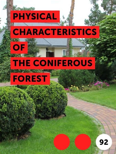 Learn Physical Characteristics Of The Coniferous Forest How To Guides