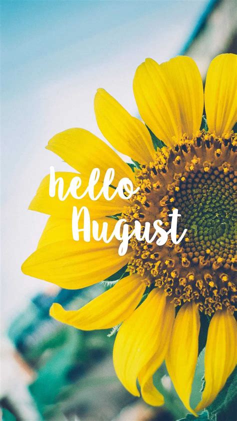 Hello August Wallpapers Vobss