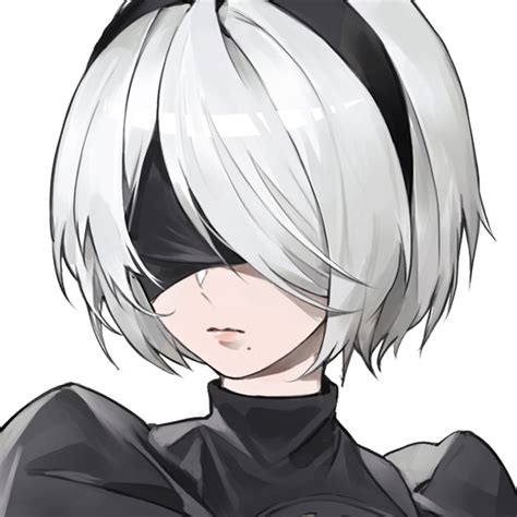 2b Gray Ravens