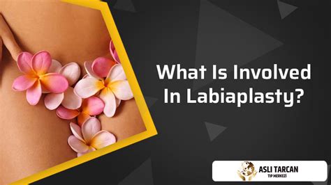 What Is Involved In Labiaplasty Asli Tarcan Clinic