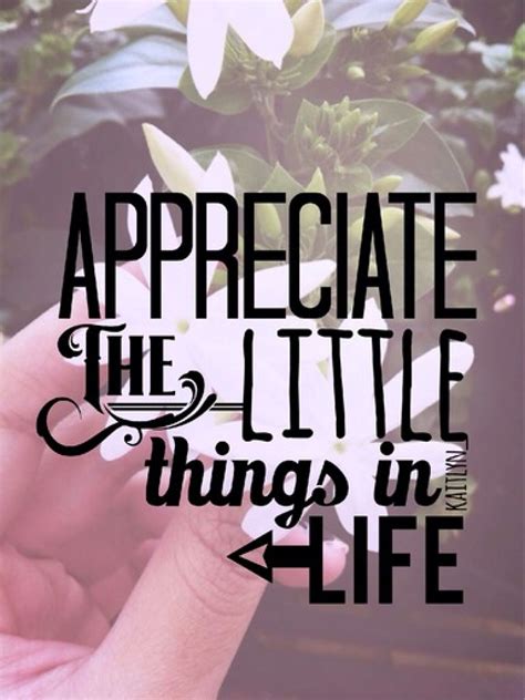 Appreciate The Little Things In Life Little Things Appreciation Keep
