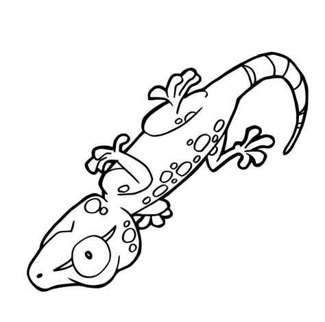 Dibujos De Gecko Para Colorear E Imprimir Dibujos Colorear