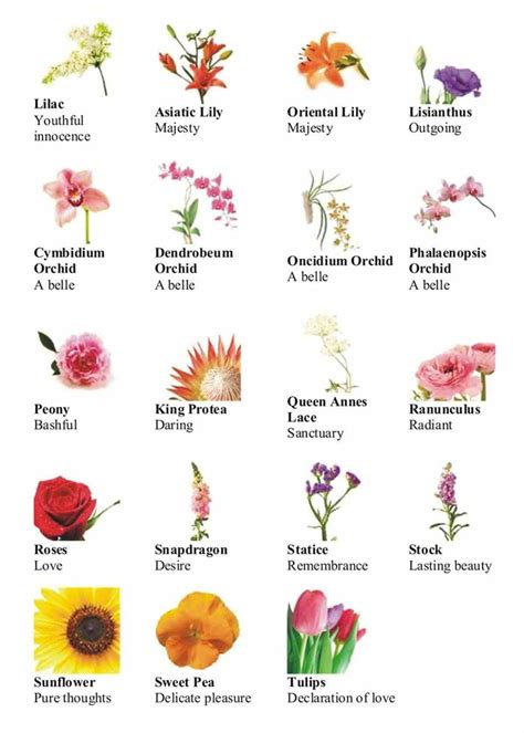 Tropical Flower Names