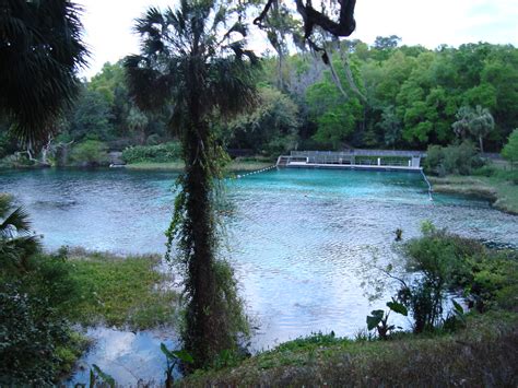 Rainbow Springs State Park Marion County Paul Clark Flickr