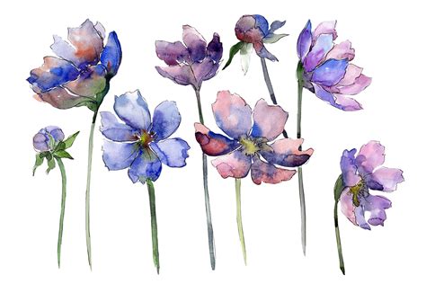 We did not find results for: Cosmos flower blue Watercolor png By MyStocks ...