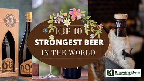 Top 10 Strongest Beers In The World Of All Time Knowinsiders