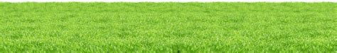 Dark Carpet Green Carpet Carpet Colors Grass Clipart Grass Vector
