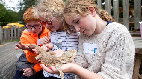 Children And Young People - Family Events| Guide Dogs