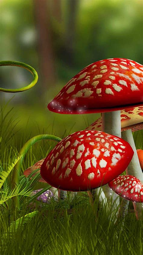 20 Top Mushroom Aesthetic Wallpaper Desktop You Can Save It For Free