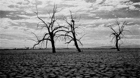 After the murder of his beloved wife, a man in search of redemption is set adrift in a world where nothing is as it seems. What Happened Here, At The Salton Sea? - Our World