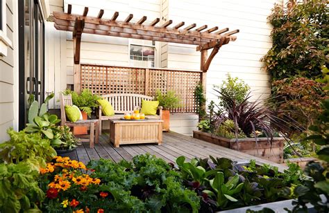 Skinny Pergola