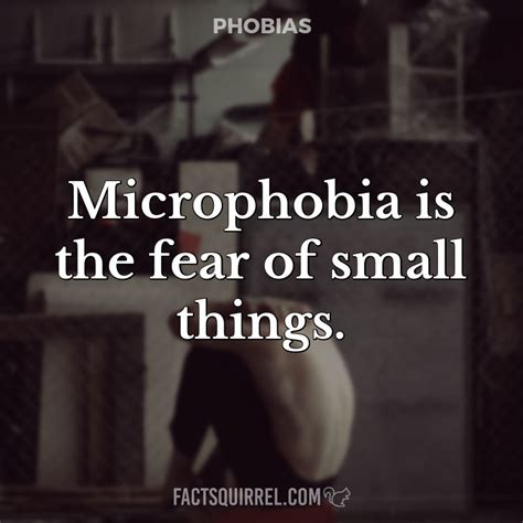 Microphobia Is The Fear Of Small Things Factsquirrel