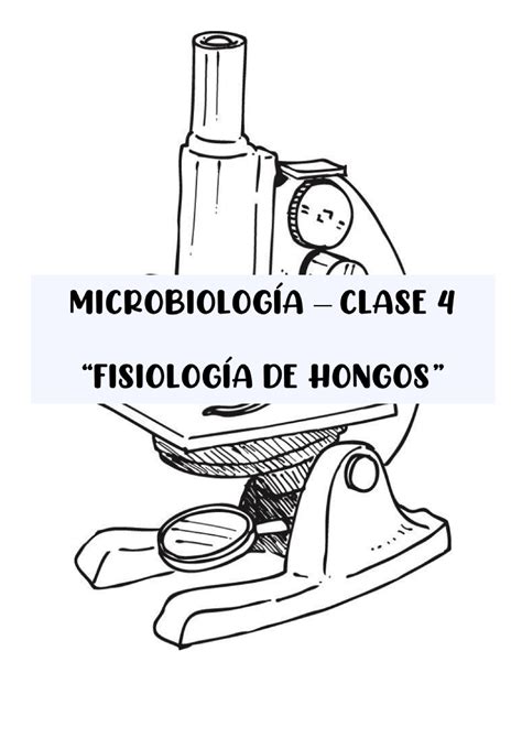 Fisiologia De Hongos Microbiología Studocu