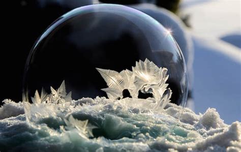 Stunning Ice Crystal Form Inside Frozen Bubble Design Swan